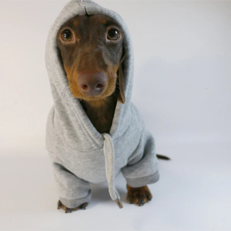 Cool Dog Sausage Hoodie for Small Dogs- Warm Puppy Clothes Dachshund Pullover