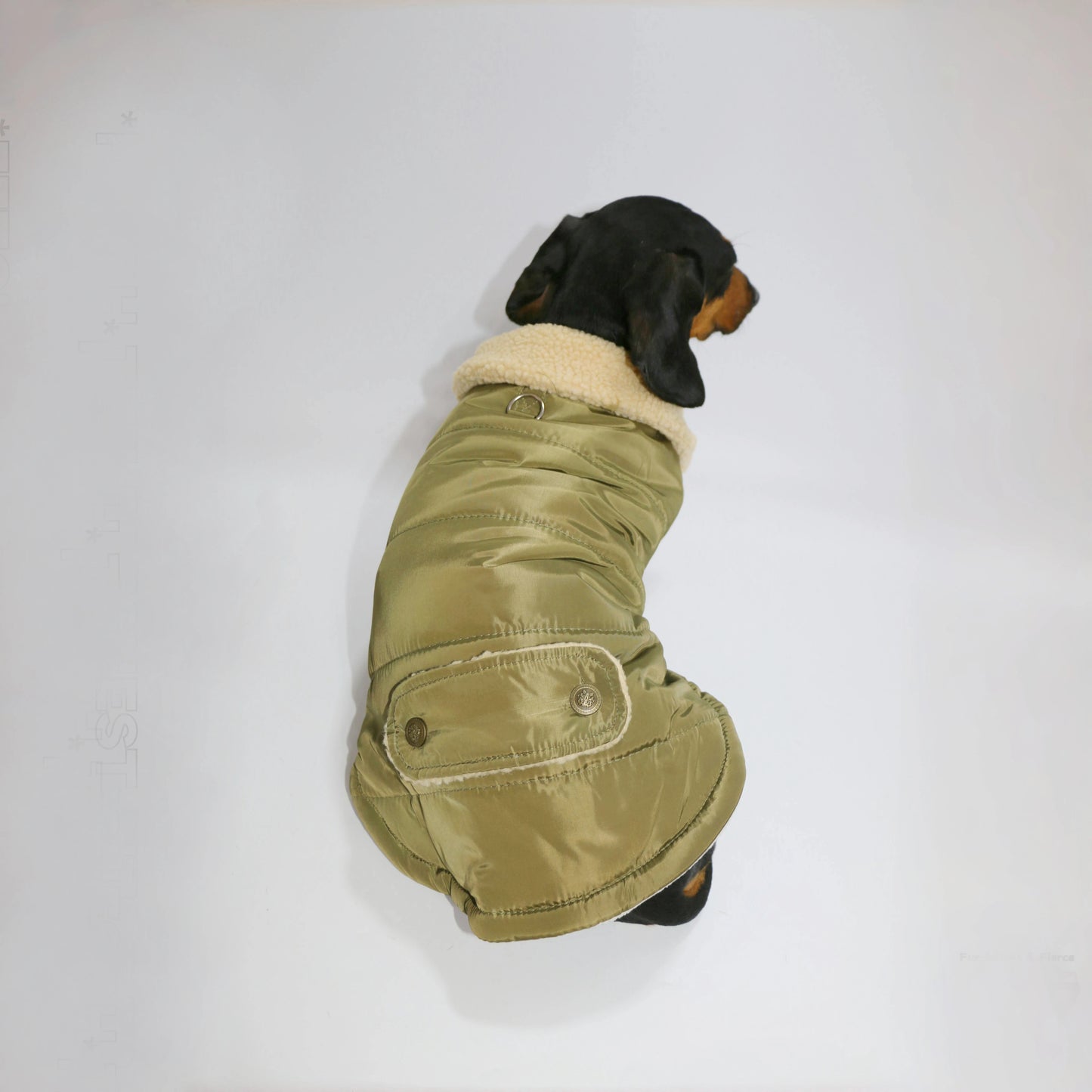 Dachshund Dogs Autumn Thick Army Green Vest Warm Fur Collar Jacket for Wiener Dogs Small Mid Dogs Sleeveless Coat in Winter