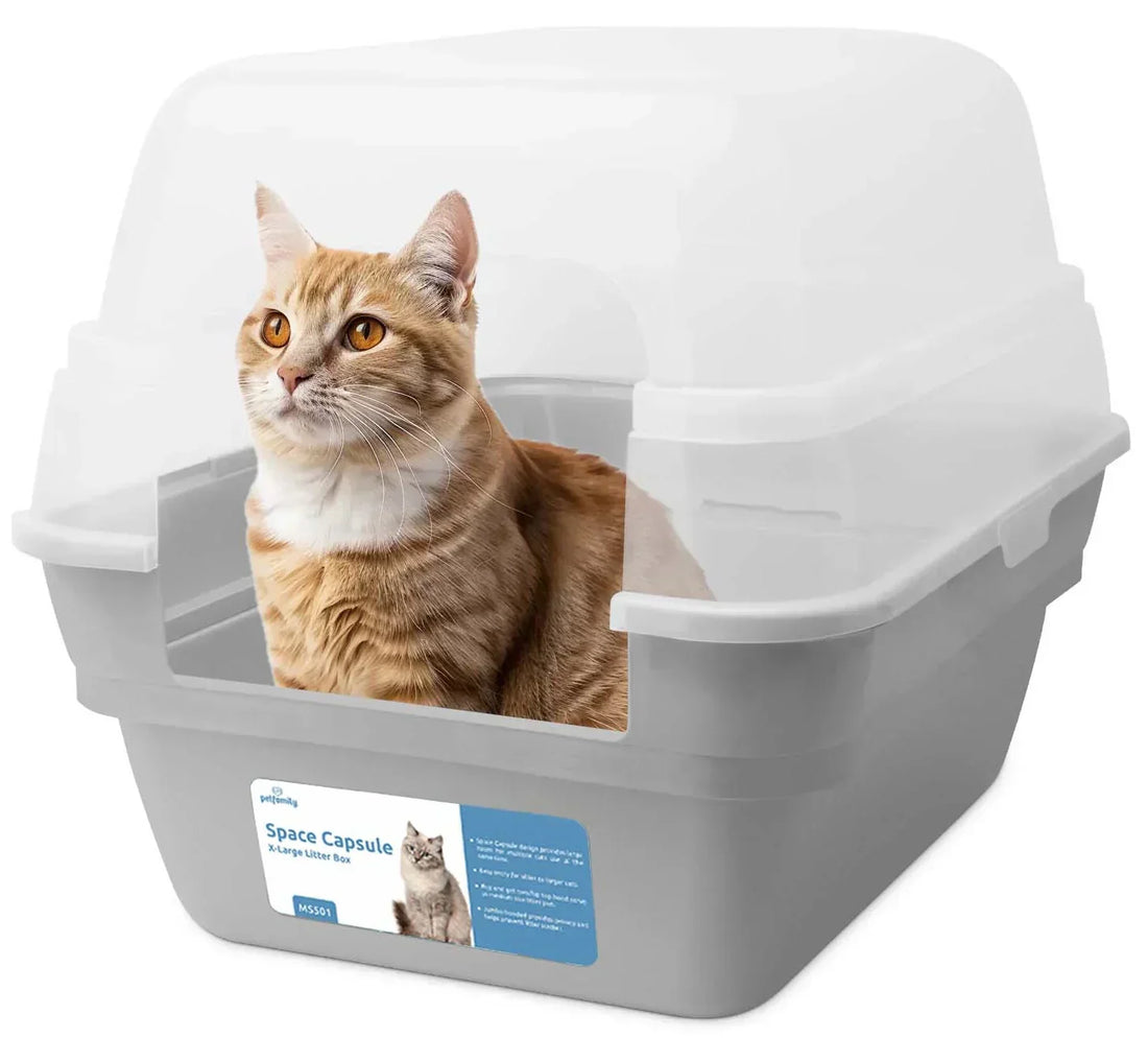 🐾 The Ultimate Guide to Litter Boxes for Cats