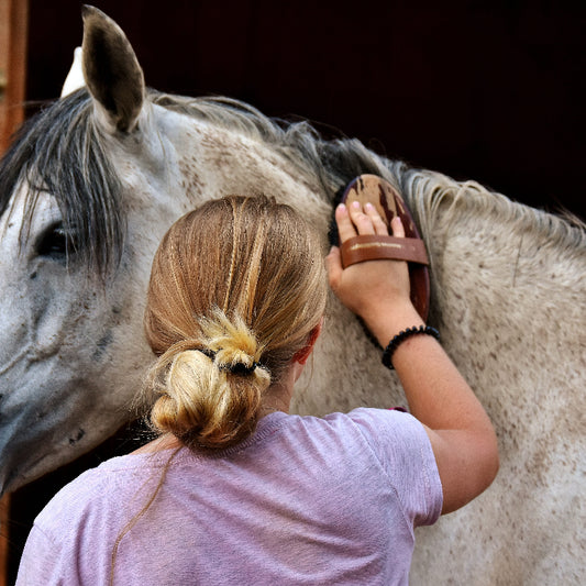 Acessórios para cavalos