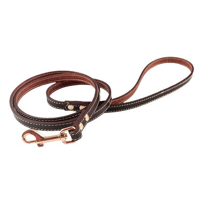 First Layer Faux leather- Pet Hand Holding Leather Dog leash