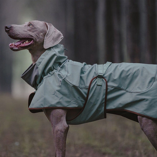 Dog Wind resistant Jacket