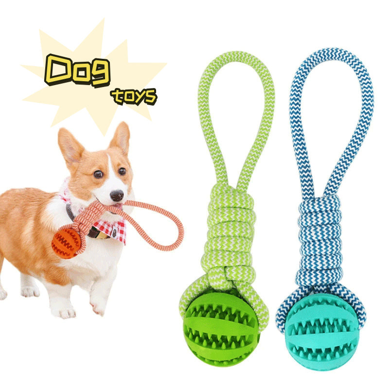 ineractive dog toys