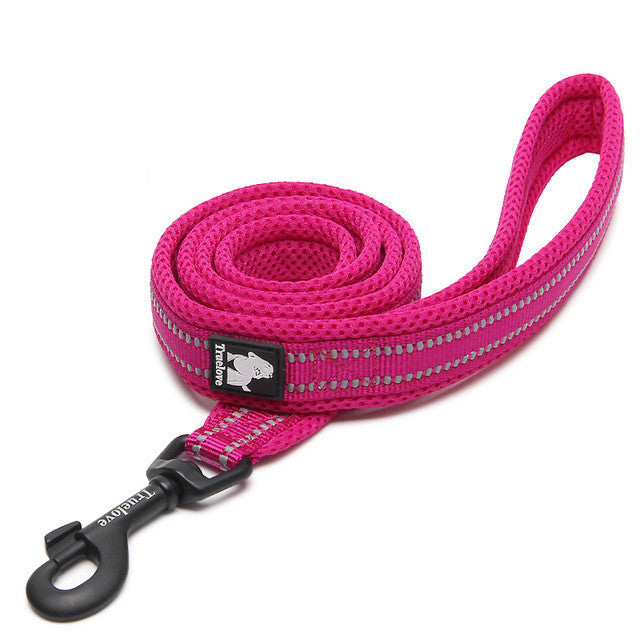 Nylon Dog Leash