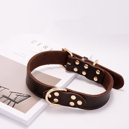 Dog collar-Pawstrip Studded Leather Dog Collar