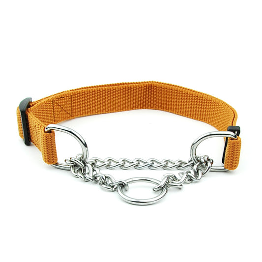 Martingale dog collar