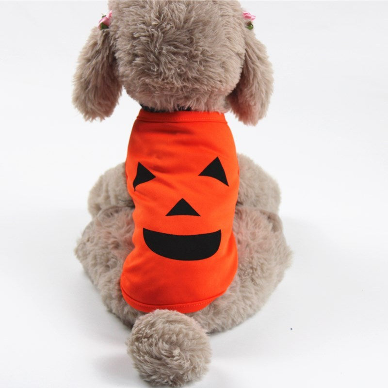 Dog wearing an orange Halloween costume with black jack-o'-lantern face design on a white background