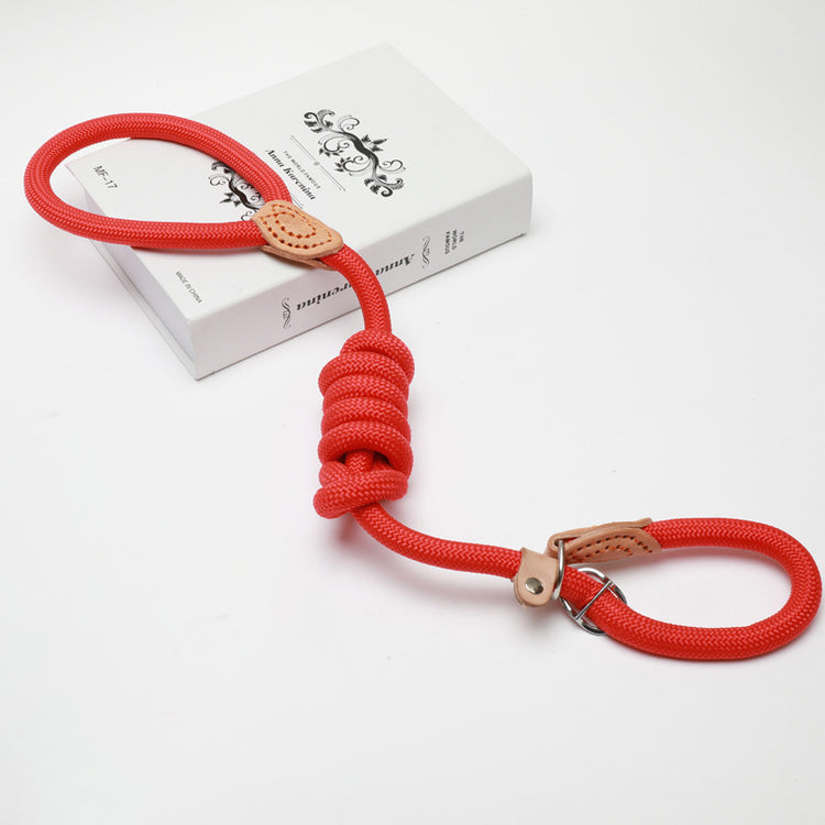 Slip Lead- Training Dog Leash