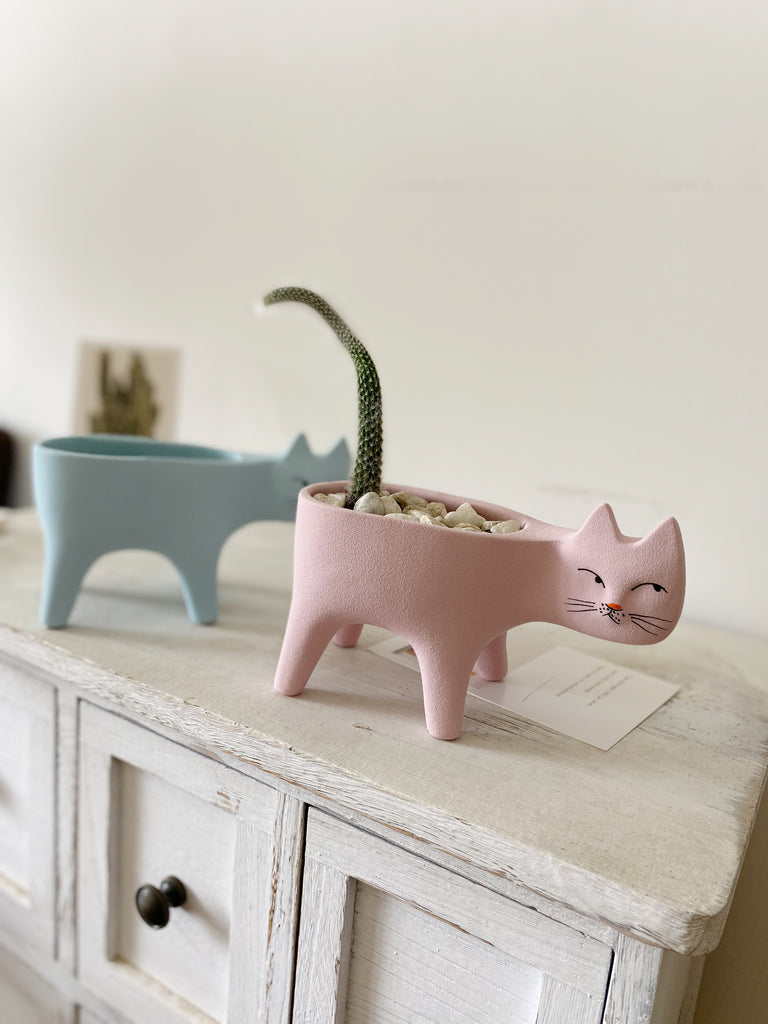 Handmade Ceramic Cat Succulent Flower Pot