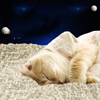 Space Puffed Sand Tofu Cat Litter For Cats