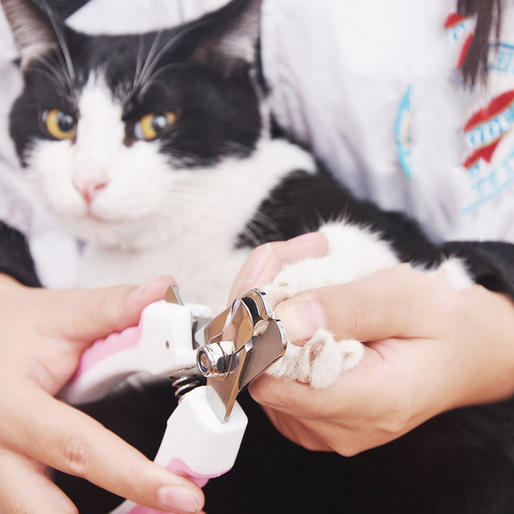 Cortador de unhas para animais de estimação - Aço de alta qualidade - Adequado para gatos, cães e coelhos - Fácil armazenamento