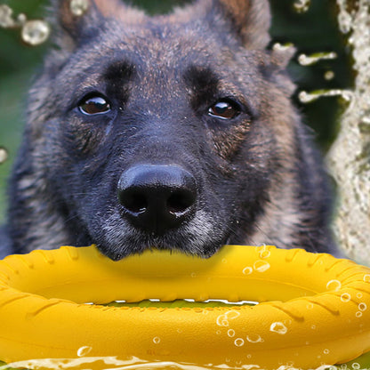 Pet Dog Training Toy Pull Ring