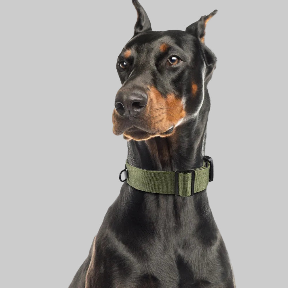Duomm-Pet Collar Adjustable Medium Large Dog Training Tactical Collar