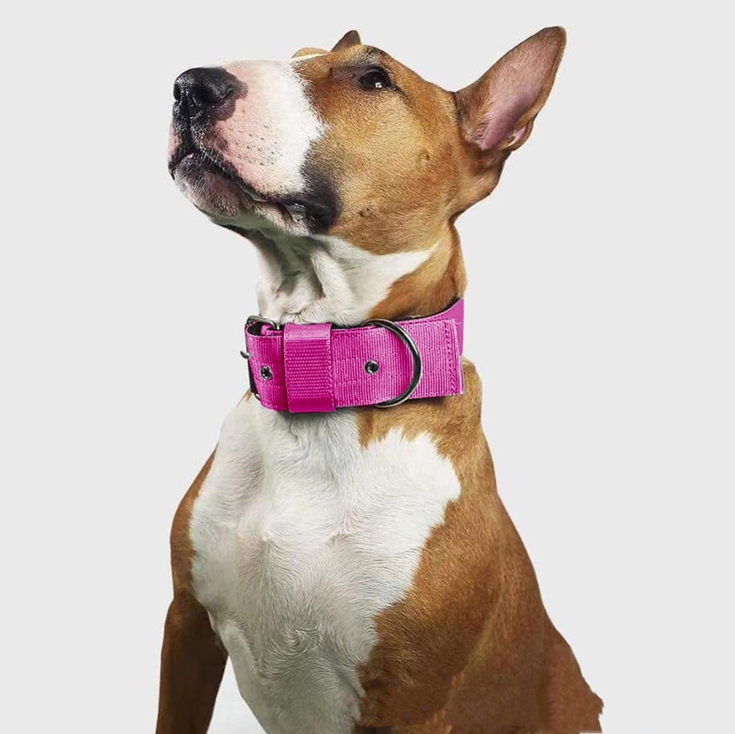 Pet Dog Collar Foam Scarf Nylon Bandana