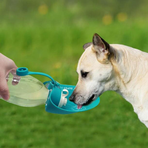 Portable drinking bottle for pets