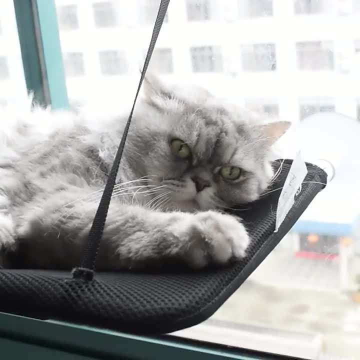 Cat Hammock-Cat bed