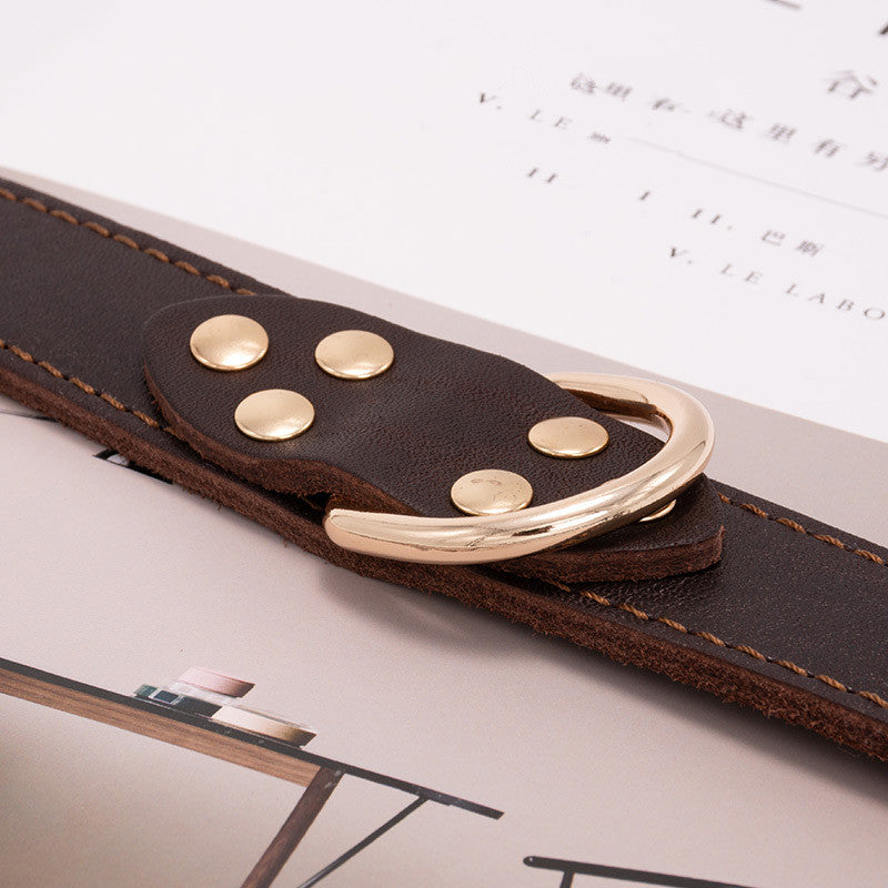 Dog collar-Pawstrip Studded Leather Dog Collar