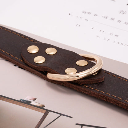 Dog collar-Pawstrip Studded Leather Dog Collar