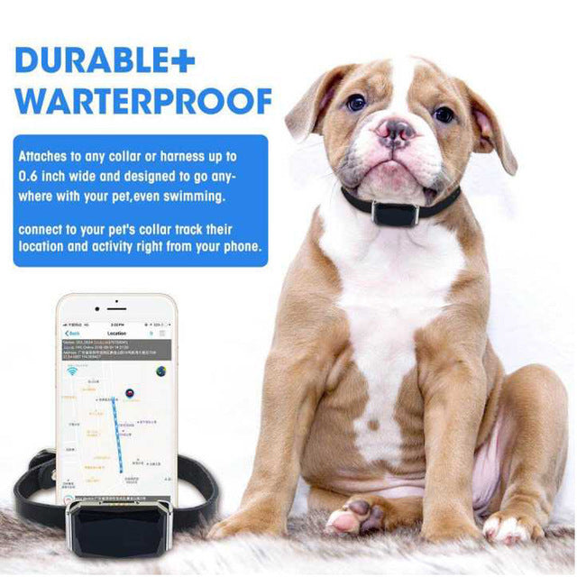 Water Proof Gps Tracking Colar for pets