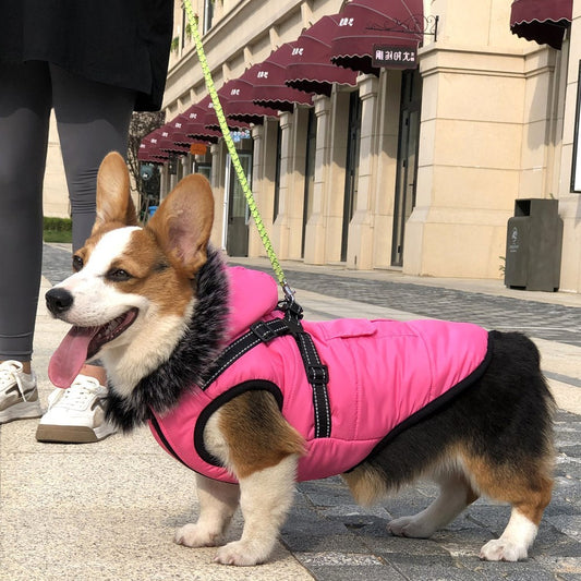 Pet Jacket with fur