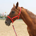 Horse Bridle Horse Headgear Can Be Customized Equestrian Equipment And Other Equestrian Supplies