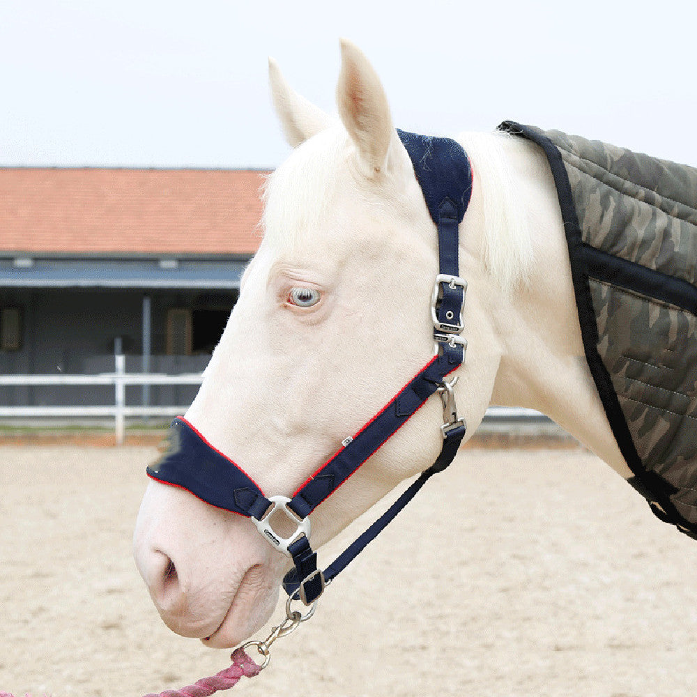 New Fleece Lined Horse Halter