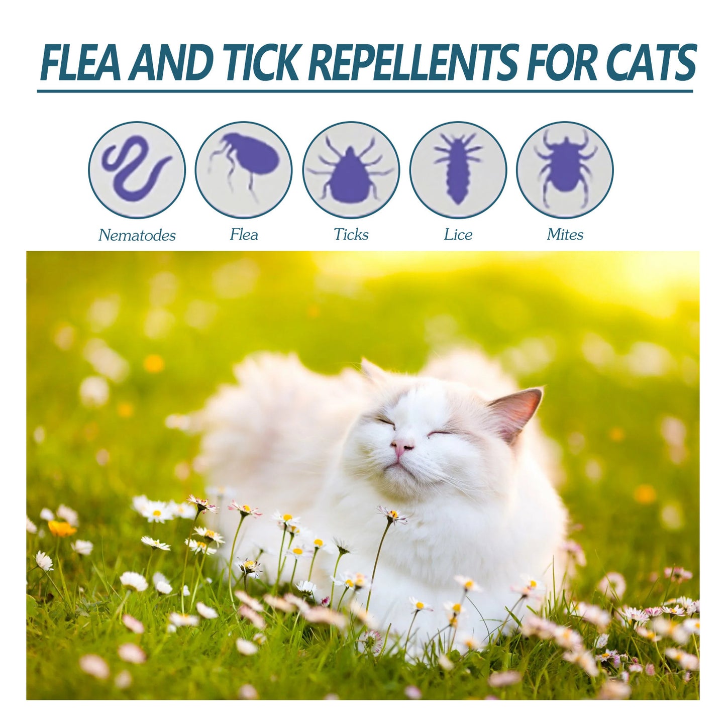 Pet Anti-flea Tick Agent