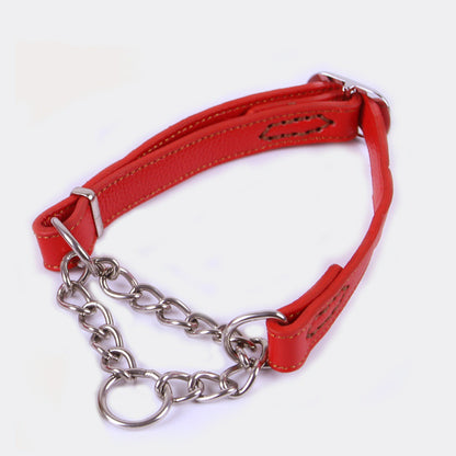 Martinggale collar for dogs