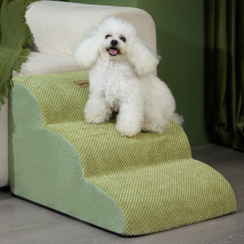 Dog climbing Stairs