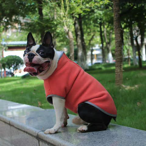 Roupas para animais de estimação roupas para cães - Jaqueta de lã - Roupa geral