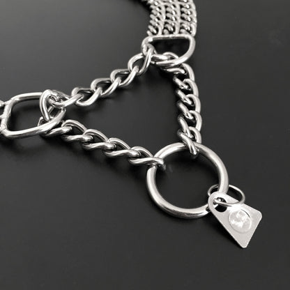 Dog Training Chain Pet Choke Collar Double Row Metal Chain