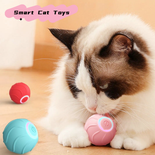 Chase toys for cats
