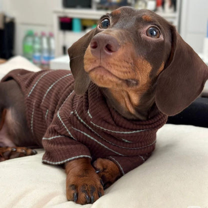 Sausage dog sweaters