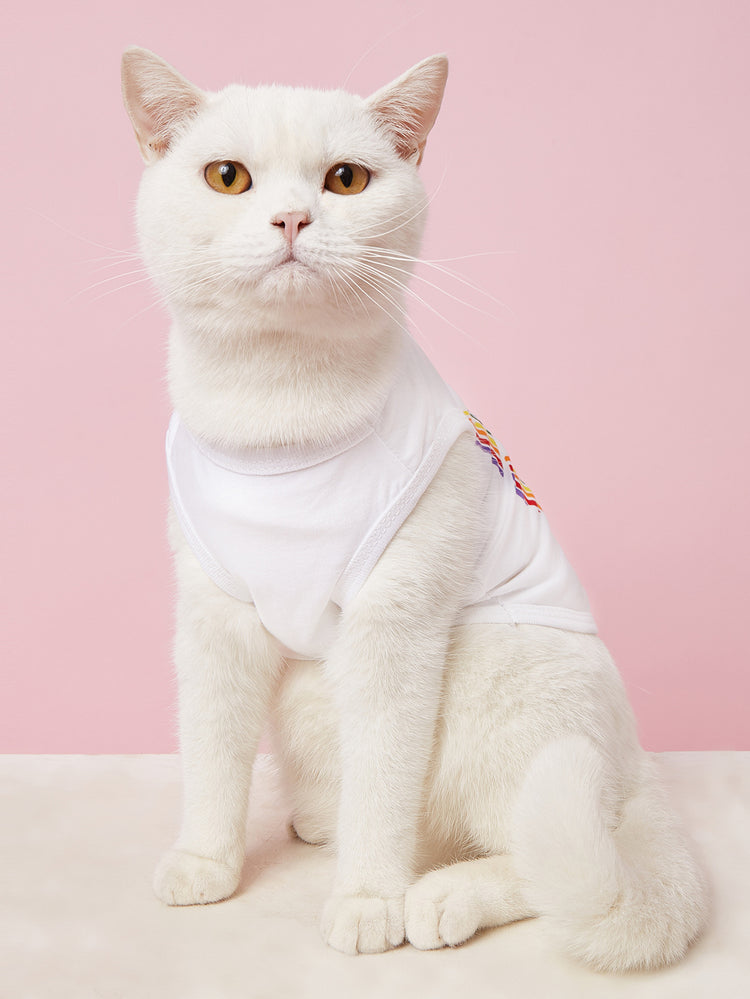 Roupas de verão para animais de estimação novas roupas para animais de estimação roupas de gato e cachorro roupas de algodão roupas para cães camiseta