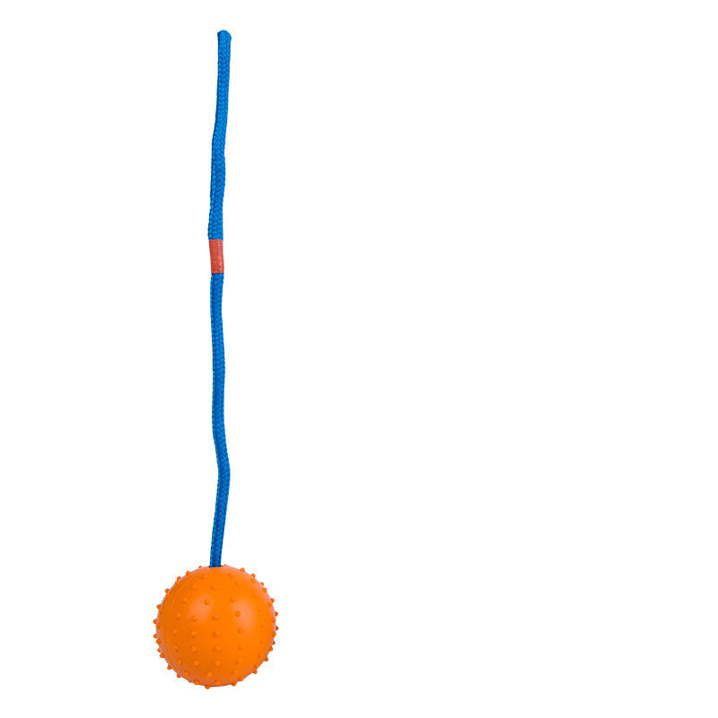 Pet Toy Dog Training Ball With Rope Rubber