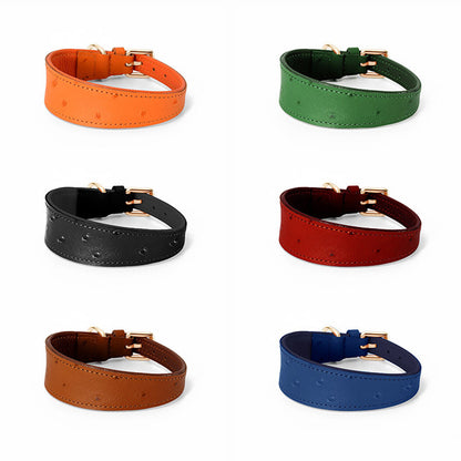 Dog Collar Small-Medium Dog 