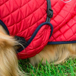 Roupas para cães inverno espessamento quente pet reflexivo casaco ao ar livre