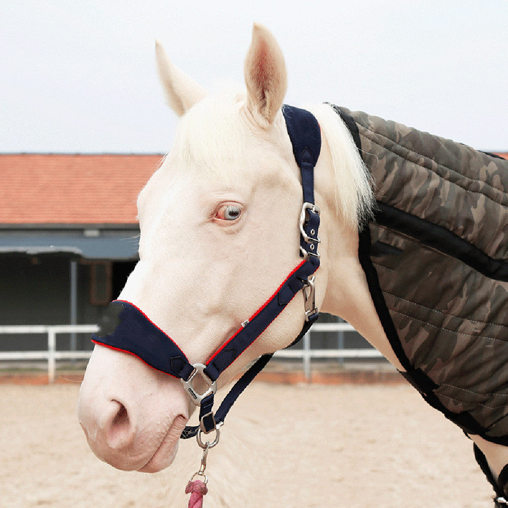 Novo cabresto de cavalo forrado de lã