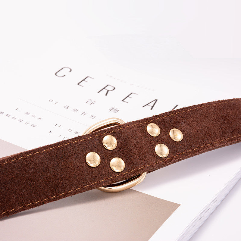 Dog collar-Pawstrip Studded Leather Dog Collar