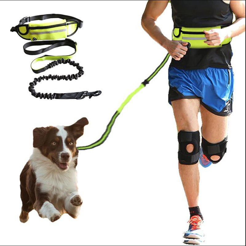 Dog Hands free leash