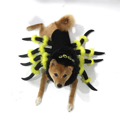 Spider Halloween costume
