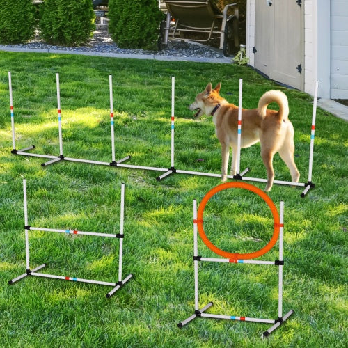 Pet Agility equipment