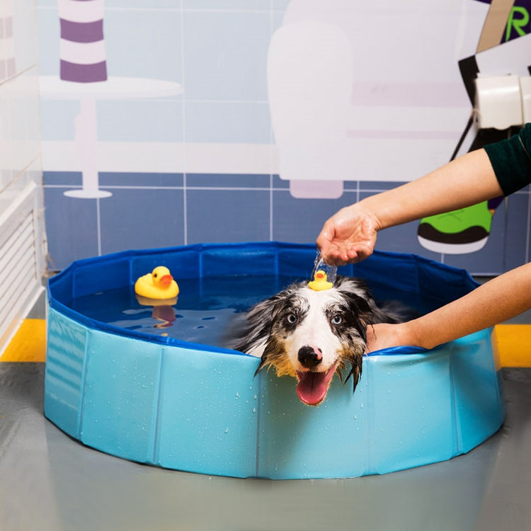 Piscina dobrável para cães, banho para animais de estimação, verão, piscina portátil, lavagem interna, banheira dobrável para cães, gatos, crianças