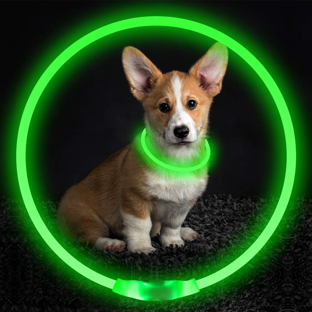 Pet Flashing Collar- USB Rechargeable -Glowing Necklace- Safety Collar Light Up Collars for Night Walking.