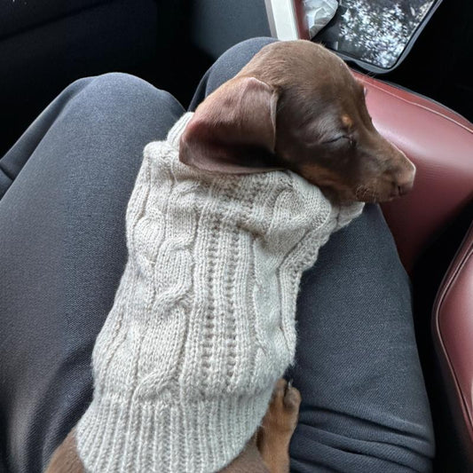 Daschund Pet sweater