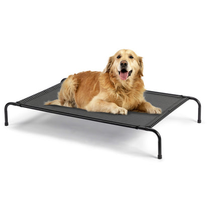 Pet Beds -elevated pet cots