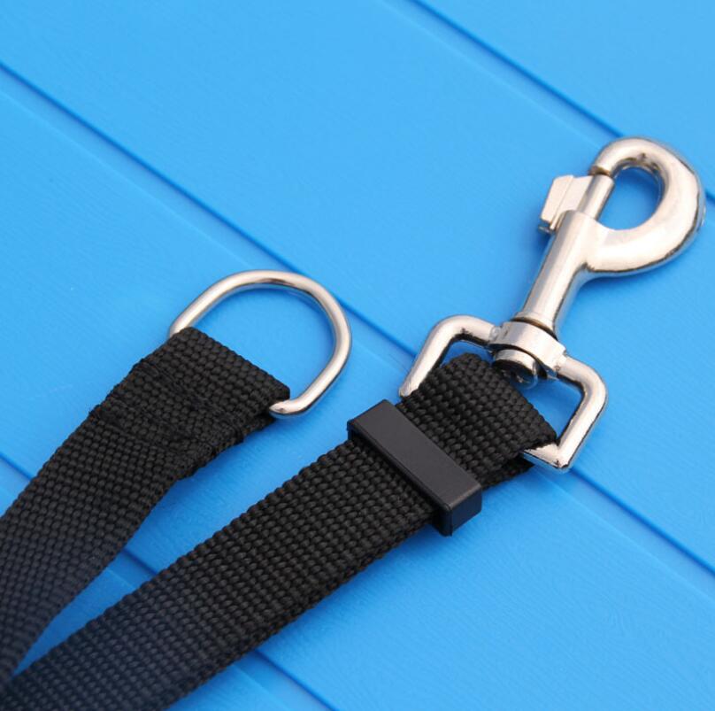 Pet longline Lead for Dogs- Nylon Walk Dog Leash - Selected Size -Outdoor Security Training Dog Harness