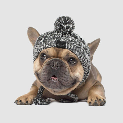 Winter Fashion Dog Hat- Windproof Fluffy Knitted Polar Pom Hat