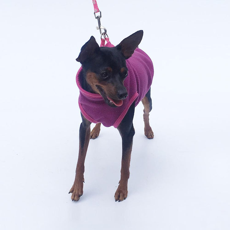 Roupas para cães Roupas quentes de inverno para cães - Suéter de lã - Colete macio e grosso para animais de estimação Jaqueta para gatos