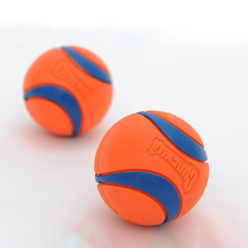 Chuckit Pet ball toy